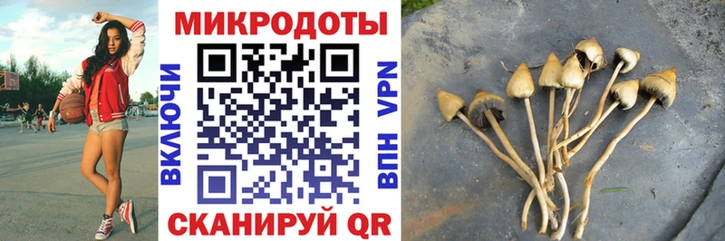 Псилоцибиновые грибы Psilocybe  площадка Telegram  Грязовец 